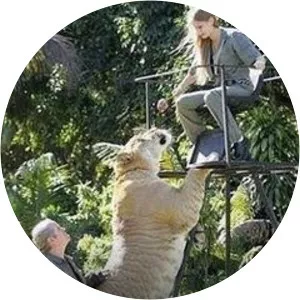 Amazing Animal Videos