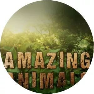 Amazing Animals - TV program