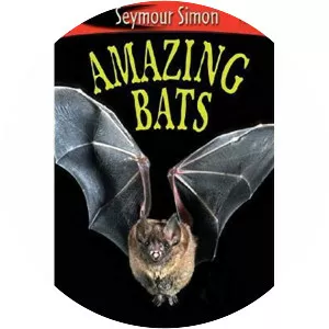 Amazing bats