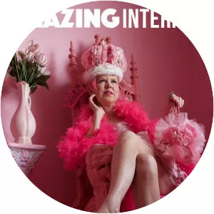 Amazing Interiors - American television series