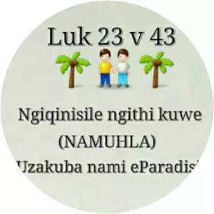 Amazwi Ayisikhombisa - Musical artist