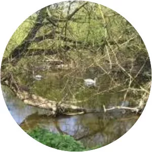 Amberley Wild Brooks - 