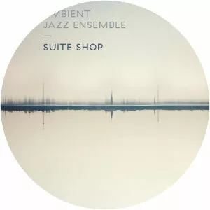 Ambient Jazz Ensemble