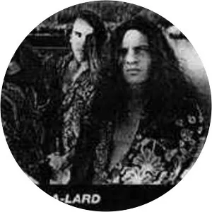 Amboog-a- Lard - Musical group