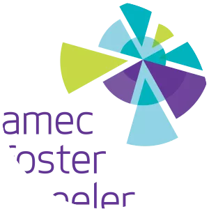 Amec Foster Wheeler - Engineering company