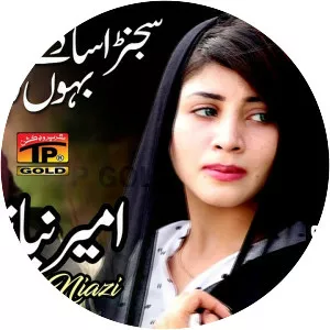 Ameer Niazi Pai Khelvi - Musical artist