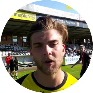 Amer Eriksson-Ibragic