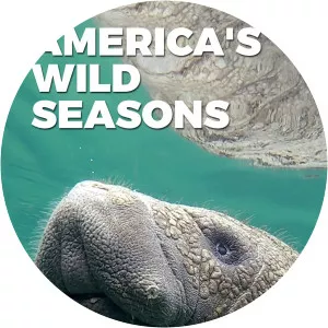 America's Wild SeasonsSince 2019