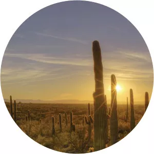 America The Beautiful: Mighty NorthwestSince 2018