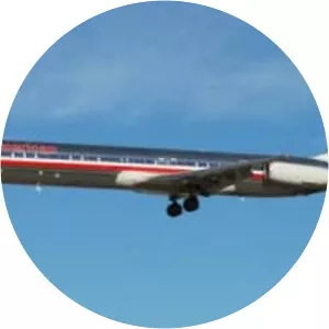 American Airlines Flight 1572