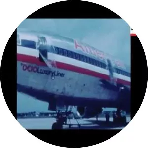 American Airlines Flight 96