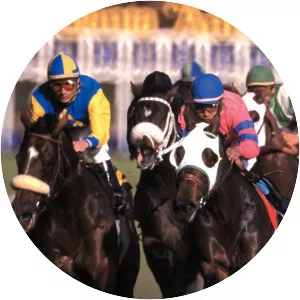 American Dream Derby