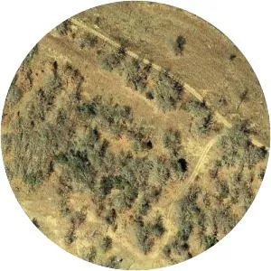 American Flyers Flight 280