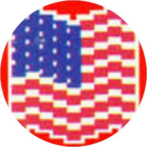 American Game Cartridges