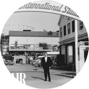 American International Pictures