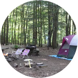 American Legion State Forest - 