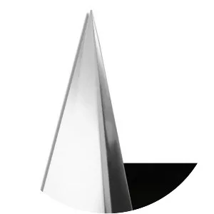 American Music Awards - 