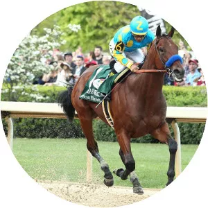 American Pharoah - Horse