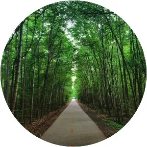 American Tobacco Trail - 