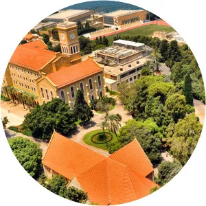American university in Beirut