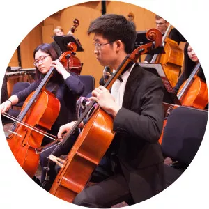 American Youth Philharmonic Orchestras