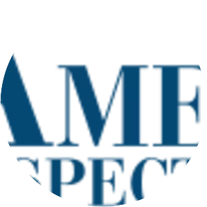 AmeriSpec Inc