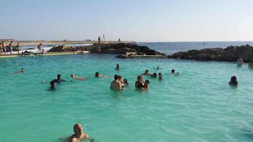 AMG Transport, Lda - Corporate office in Leca da Palmeira, Portugal