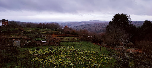 Amiadoso  - Bus stop in Spain