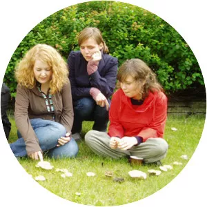 Amiina - Musical duo