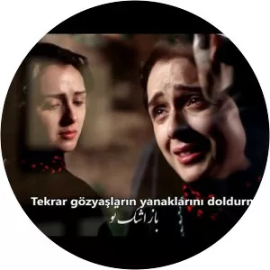 amin bani farsça şarkılar - Musical artist