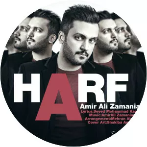 Amir Ali Zamanian - Musical artist