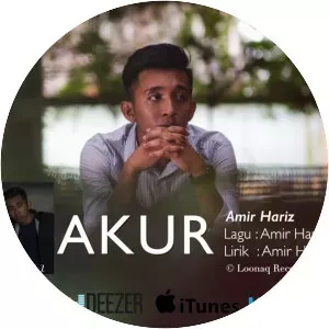 amir hariz