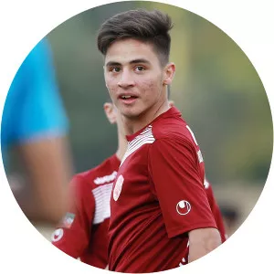 Amir Hossein Saghafi