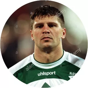 Amir Karić - Slovenian former footballer
