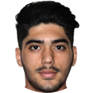 Amir Mehdi Janmaleki