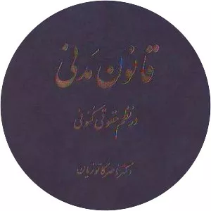 Amir Nasser Katouzian