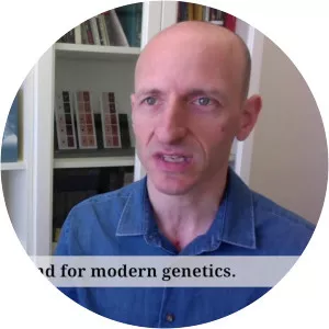 Amir Teicher - Historian