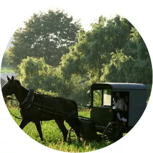 Amish Paradise - TV program