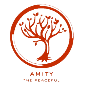 Amity Faction