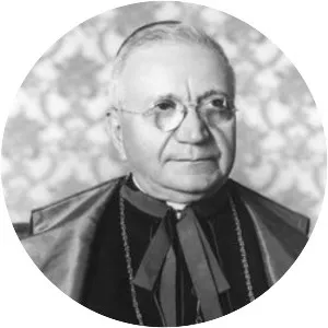 Amleto Giovanni Cicognani