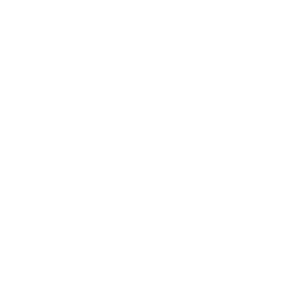 Ammona - Musical artist