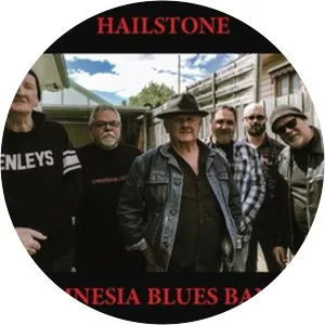Amnesia Blues Band