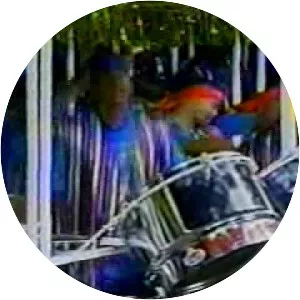 Amoco Renegades - Musical group