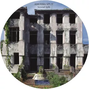 Amoeba Split - Musical group