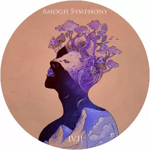 Amogh Symphony - Musical group