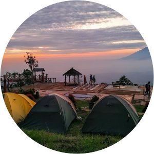 ampelgading homeland