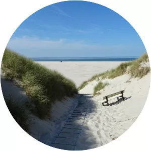 Amrum