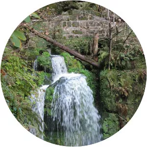 Amsel Falls - 