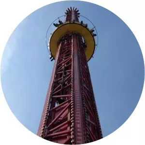 AmusementForce - Musical artist