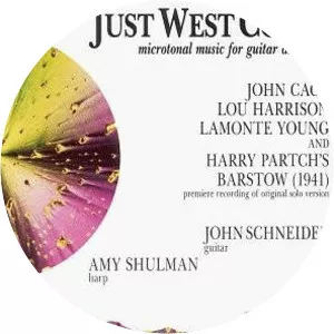 Amy Shulman - Musical artist